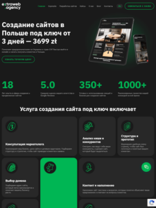 Extraweb agency website preview showing its web development services