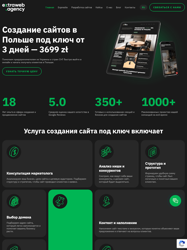 Extraweb agency website preview showing its web development services
